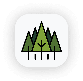 Pine icon